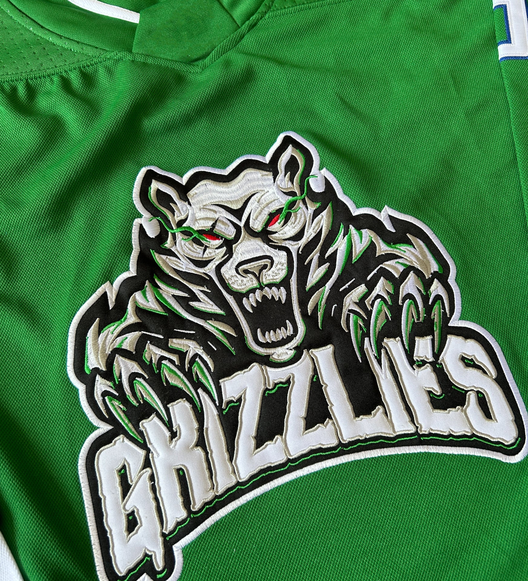 Describes the appearance of the image